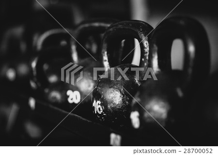 fitness weights collection fitness weights collection 28700052