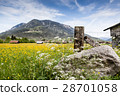 Spring landscape in bavaria, germany, alps 28701058