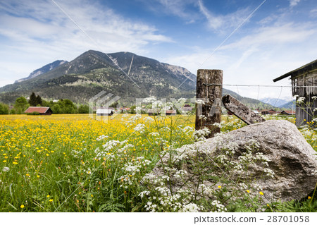 Spring landscape in bavaria, germany, alps Spring landscape in bavaria, germany, alps 28701058