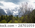 Spring landscape in bavaria, germany, alps 28701059