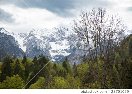 Spring landscape in bavaria, germany, alps Spring landscape in bavaria, germany, alps 28701059