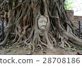Buddha head in the tree root at Ayutthaya 28708186