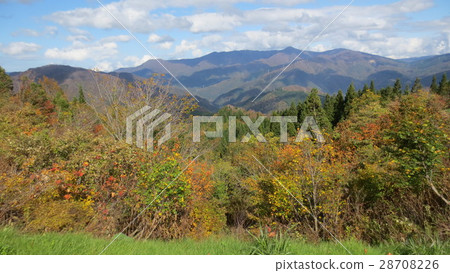 Autumn leaves and mountains / The autumn leaves Autumn leaves and mountains / The autumn leaves 28708226