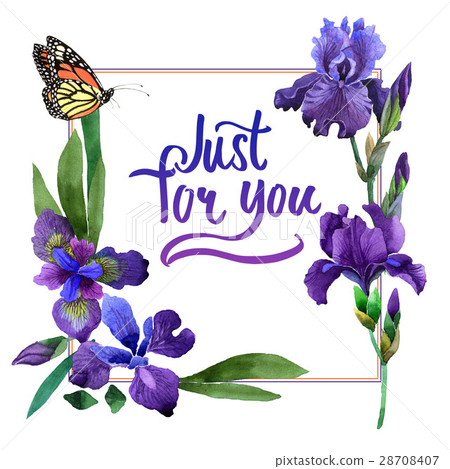 Wildflower iris flower frame in a watercolor style Wildflower iris flower frame in a watercolor style 28708407