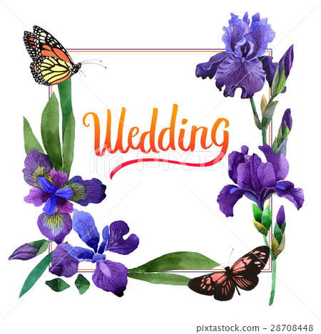 Wildflower iris flower frame in a watercolor style 28708448
