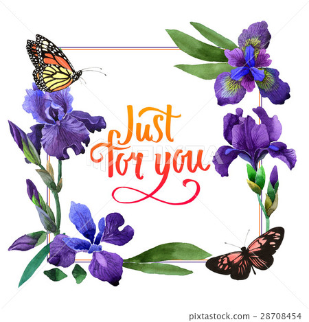Wildflower iris flower frame in a watercolor style Wildflower iris flower frame in a watercolor style 28708454