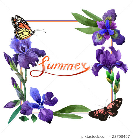 Wildflower iris flower frame in a watercolor style Wildflower iris flower frame in a watercolor style 28708467