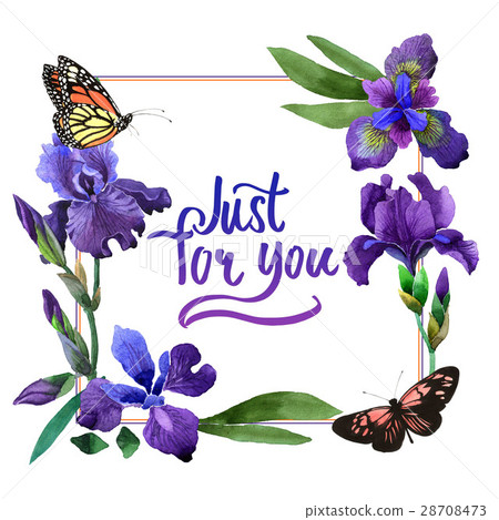 Wildflower iris flower frame in a watercolor style Wildflower iris flower frame in a watercolor style 28708473
