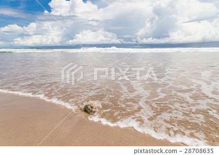 Waves sand beach and clouds sunny day Waves sand beach and clouds sunny day 28708635