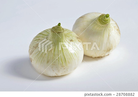 New Onion New Onion 28708882