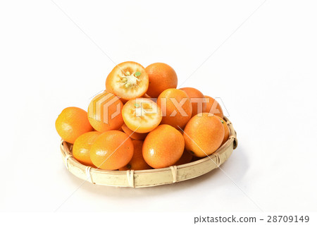 Kumquat 28709149