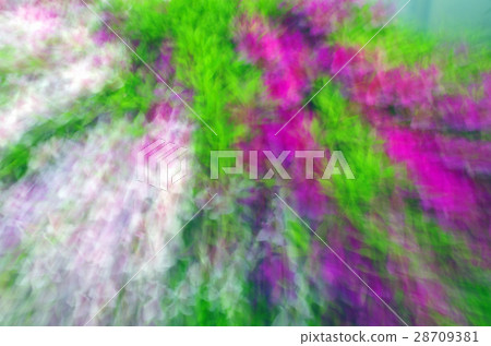 杜鵑花的顏色 28709381