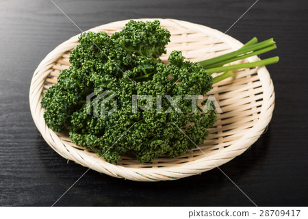 Parsley Parsley 28709417