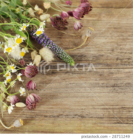 Summer border - beautiful floral background 28711249