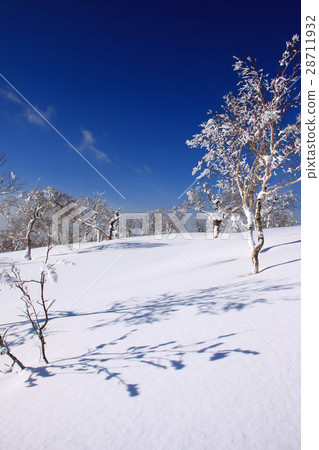 在早晨多雪的領域附近的冬天風景〜Horo Takiyama 28711932