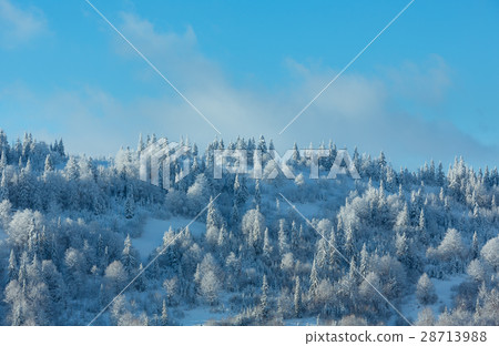 Winter Ukrainian Carpathian Mountains landscape. Winter Ukrainian Carpathian Mountains landscape. 28713988