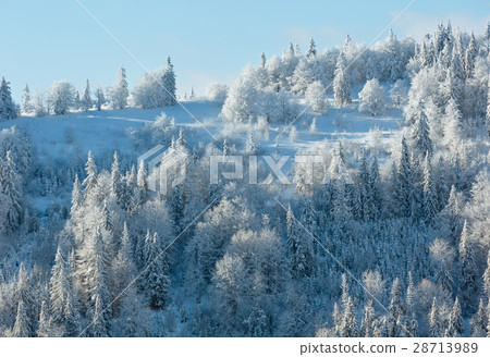 Winter Carpathian Mountains landscape. 28713989