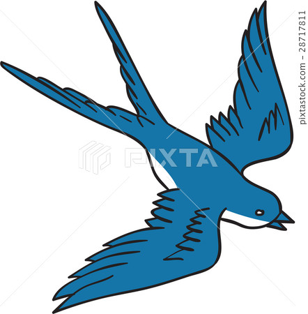 Swallow Flying Down Drawing Swallow Flying Down Drawing 28717811