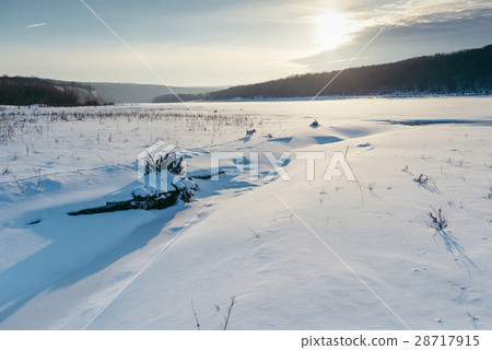 Winter outdoor family walk with the dog 28717915