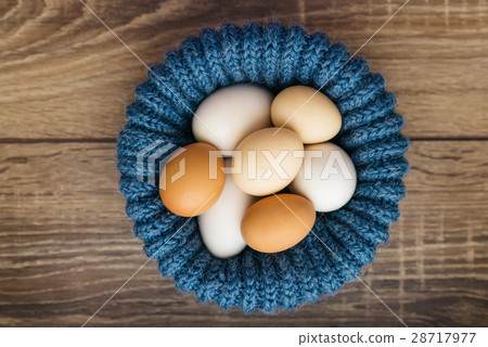 chicken eggs in blue nest chicken eggs in blue nest 28717977