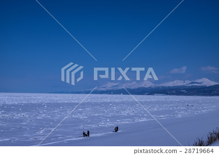 Drift ice chunk floating in the Sea of Okhotsk (Shari-cho) Drift ice chunk floating in the Sea of Okhotsk (Shari-cho) 28719664