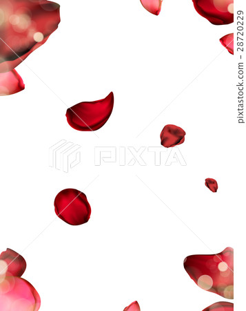 flower petal elements flower petal elements 28720229