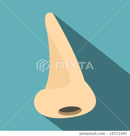 Human nose icon, flat style Human nose icon, flat style 28721495