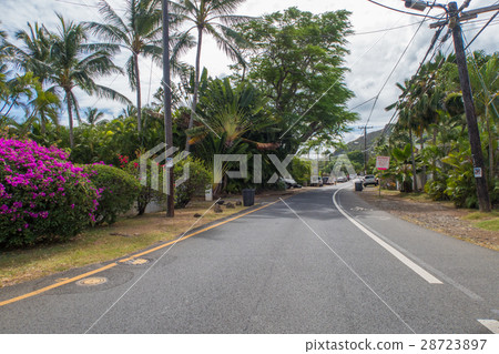 在Lanikai海灘附近的風景 在Lanikai海灘附近的風景 28723897