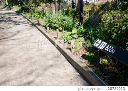 Jogging course 28724913