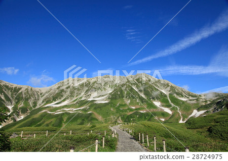 夏季立山黑部阿爾卑斯山脈 28724975