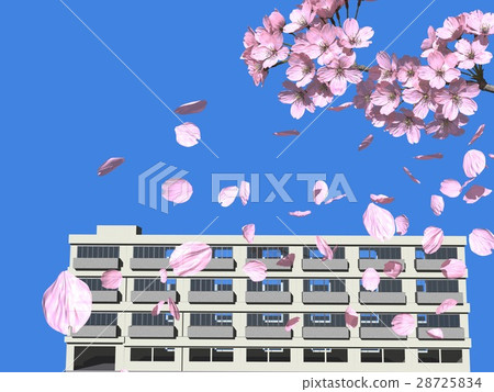 學校和櫻花的風景 學校和櫻花的風景 28725834