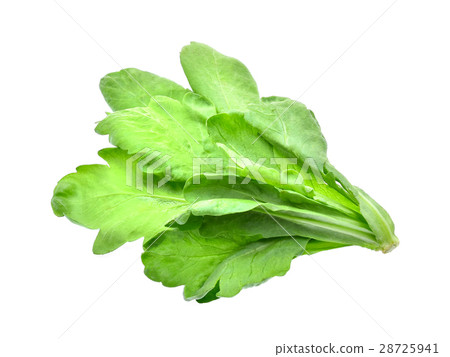 edible chrysanthemum leaf isolated on white 28725941