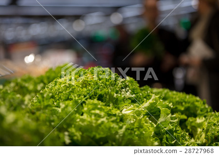 Light green lettuce leaves, farmers market Light green lettuce leaves, farmers market 28727968