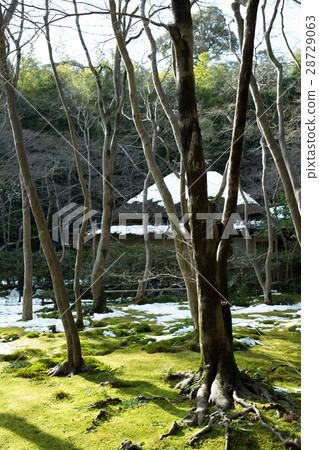 Gino temple in winter 28729063