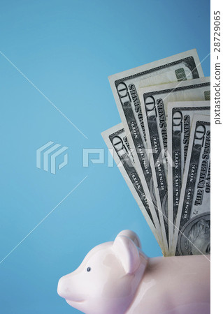 Pig's Piggy Bank and US Dollar Banknote Pig's Piggy Bank and US Dollar Banknote 28729065