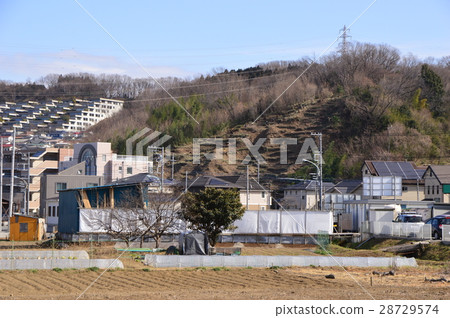 東京都政府長沼公園八王子 東京都政府長沼公園八王子 28729574