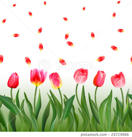 Seamless pattern with realistic pink tulips 28729866