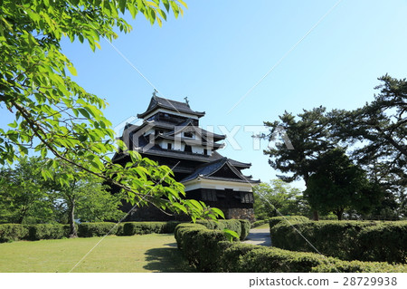 新鮮的綠色國寶松江城 28729938