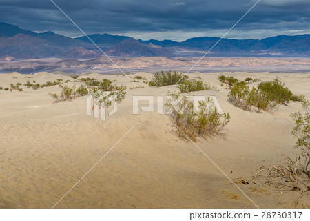 Mesquite Flat Sand Dunes,Death Valley 28730317