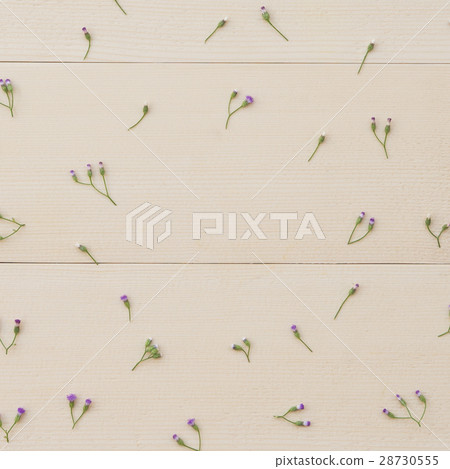 Pattern of little Ironweed flowers  28730555