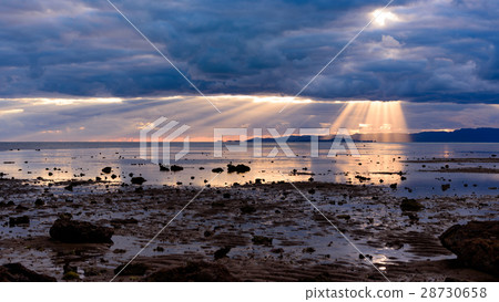 從沖繩Ishigakijima Nazora Ohashi的晚上風景 從沖繩Ishigakijima Nazora Ohashi的晚上風景 28730658