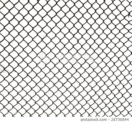 metal grid on a white background metal grid on a white background 28730844