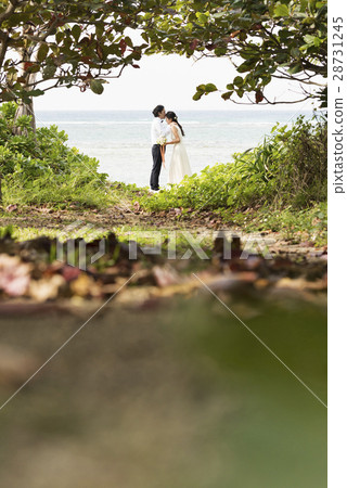 沖繩島 沖繩島 28731245