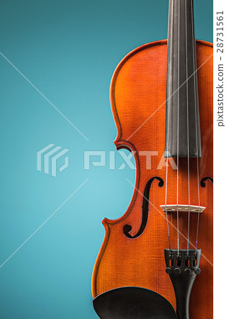 The violin front view on blue The violin front view on blue 28731561