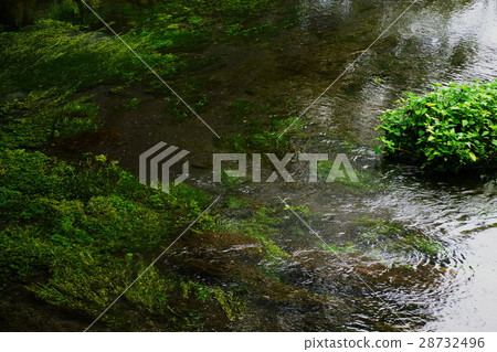 Kakita River spring spring group first observation platform · Water source (100 name water selection) Shizuoka prefecture Shizuoka cho 28732496