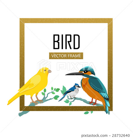 Birds Frame Flat Design Vector Illustration Birds Frame Flat Design Vector Illustration 28732640