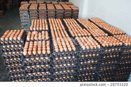 Eggs from chicken farm in the package for sale. Eggs from chicken farm in the package for sale. 28733220