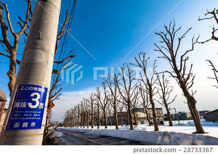 電報桿和平原樹行的高度顯示 28733367