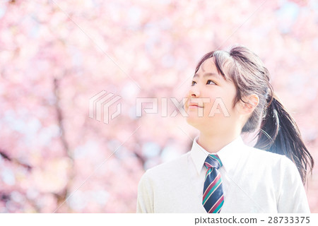 High school students and cherry blossoms High school students and cherry blossoms 28733375