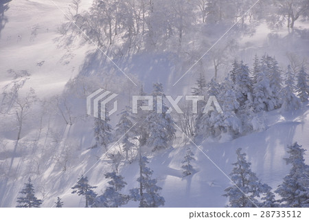 北海道富良野的冬季景觀 北海道富良野的冬季景觀 28733512